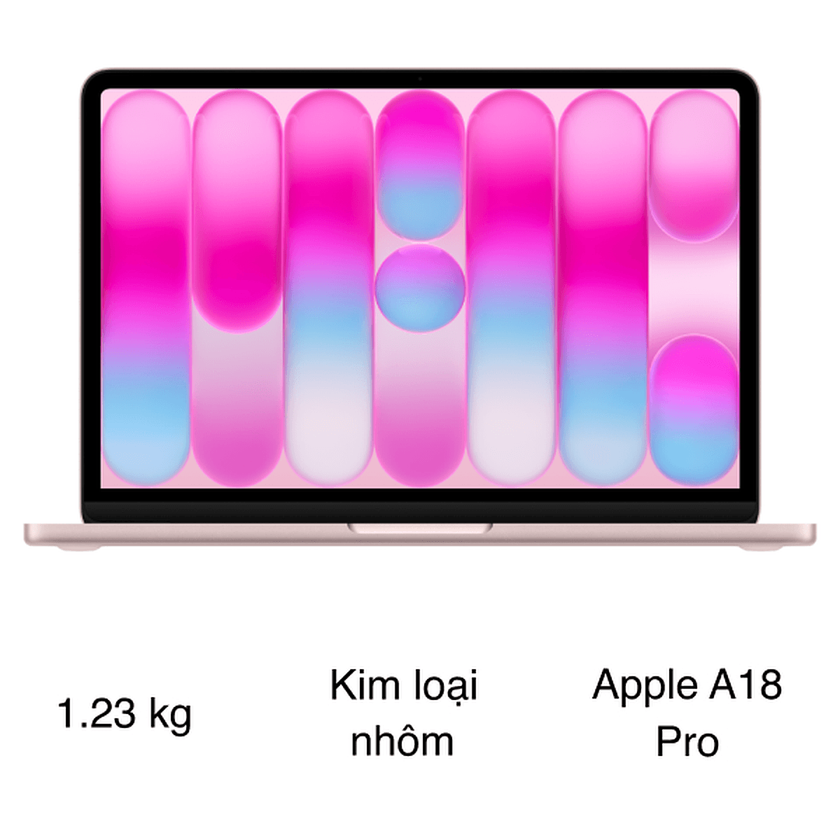 MacBook Neo inch A18 Pro /